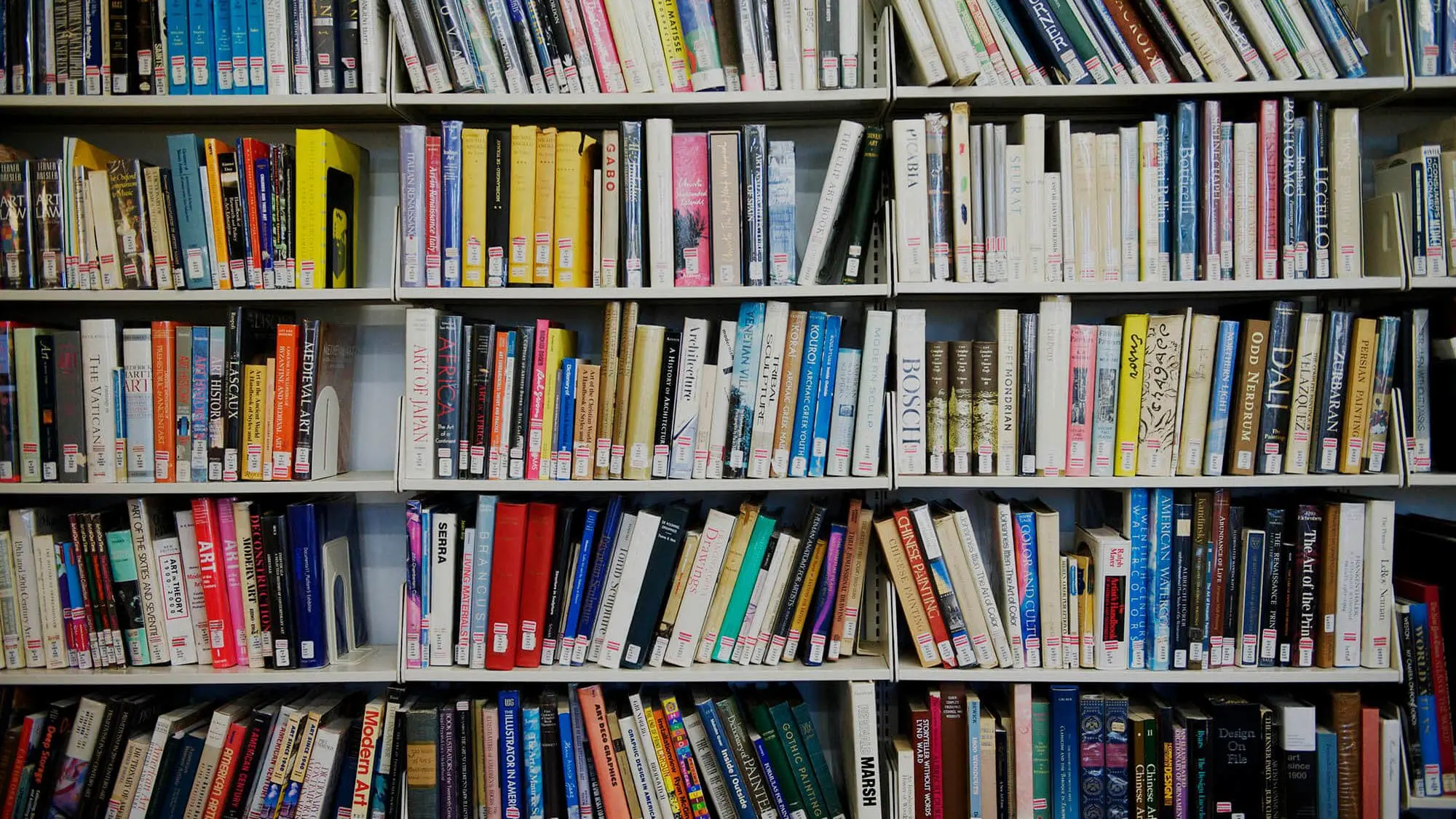 academic support
