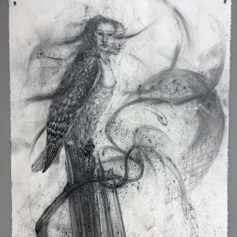 A graphite drawing of a bird with a human head perched on a piece of wood surrounded by snakes