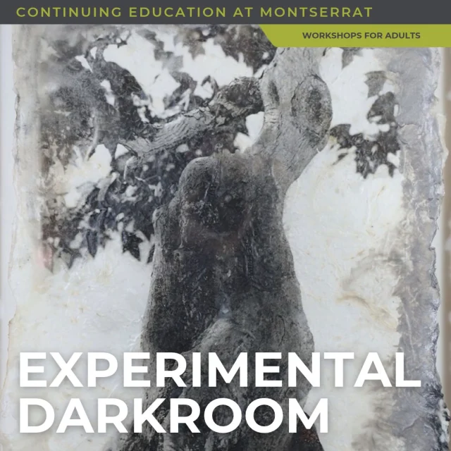 Experimental Darkroom with Patricia ScialloWednesdays; October 21, 28 and November 4
6:30–9pmExplore the handmade photograph using Montserrat’s darkroom lab and art space. Create unique photograms using found objects, film negatives, drawings, and filtered light, then enhance your prints using hand-tinting techniques. You will complete the course with two finished prints mounted on wood panels.This course is a great introduction to experimental analog practices and welcomes participants with a range of photography and darkroom experience.Bring processed 35mm or medium-format black-and-white negative film for printing. Negatives may be your own or from family or personal archives. Also bring a small group of found objects for creating photo collages, such as pressed botanicals, fabric, glass plates, or other materials you’d like to experiment with.Register at the continuing ed link in bio